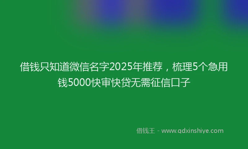 借钱只知道微信名字2025年推荐，梳理5个急用钱5000快审快贷无需征信口子