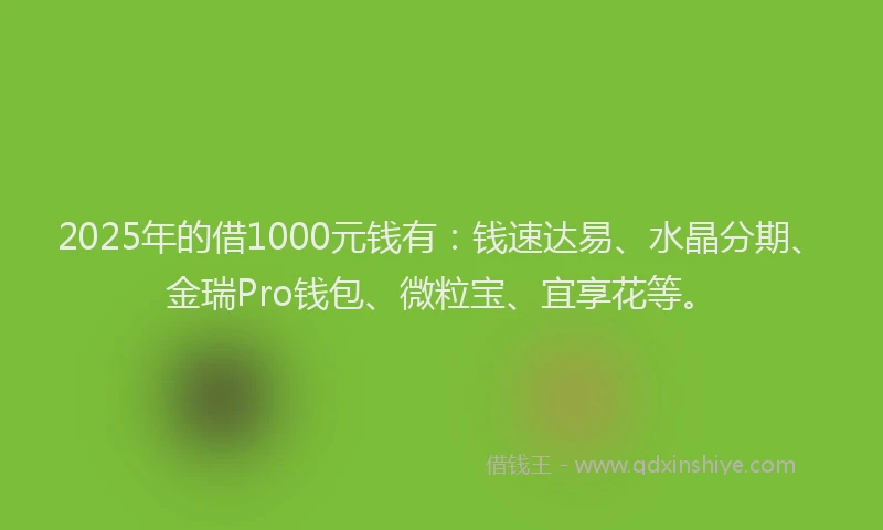 2025年的借1000元钱有：钱速达易、水晶分期、金瑞Pro钱包、微粒宝、宜享花等。