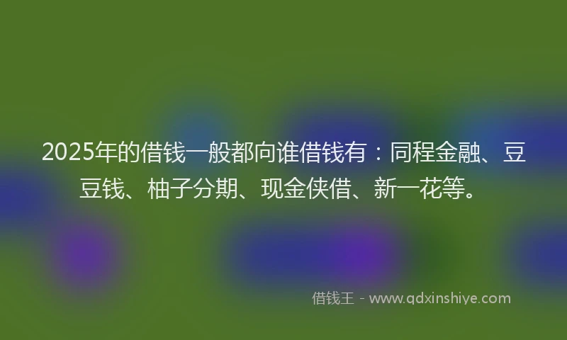 2025年的借钱一般都向谁借钱有：同程金融、豆豆钱、柚子分期、现金侠借、新一花等。