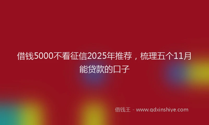 借钱5000不看征信2025年推荐，梳理五个11月能贷款的口子