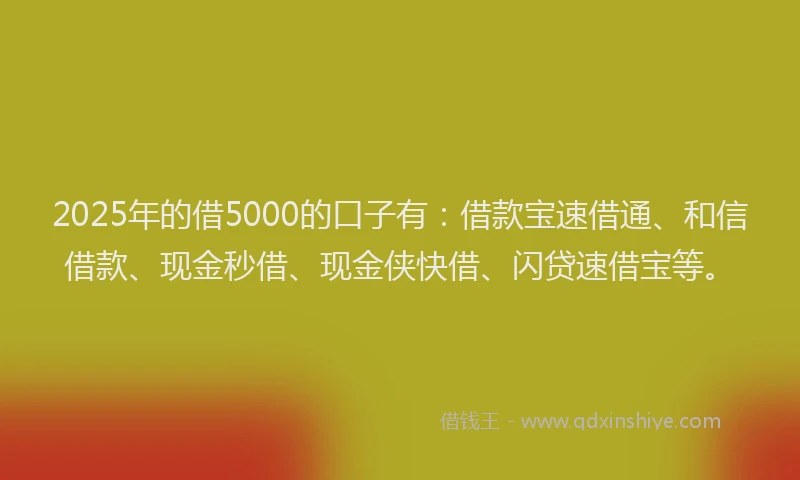 2025年的借5000的口子有：借款宝速借通、和信借款、现金秒借、现金侠快借、闪贷速借宝等。