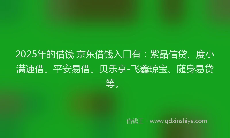 2025年的借钱 京东借钱入口有：紫晶信贷、度小满速借、平安易借、贝乐享-飞鑫琼宝、随身易贷等。