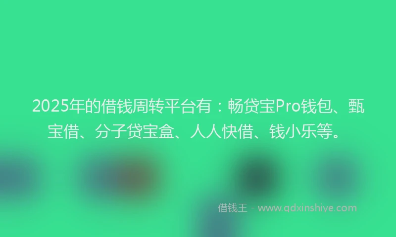 2025年的借钱周转平台有：畅贷宝Pro钱包、甄宝借、分子贷宝盒、人人快借、钱小乐等。