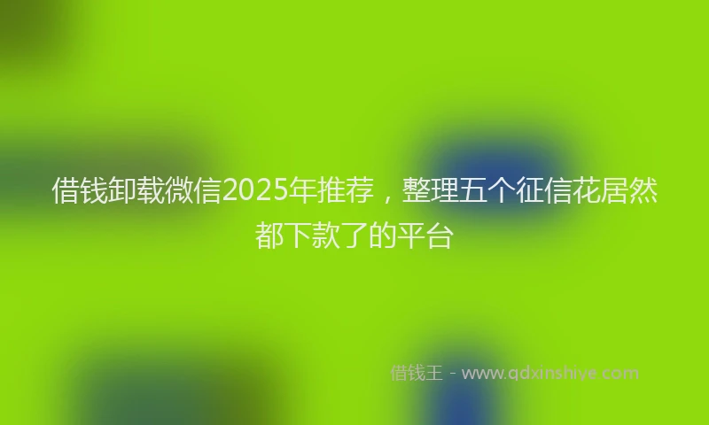 借钱卸载微信2025年推荐，整理五个征信花居然都下款了的平台