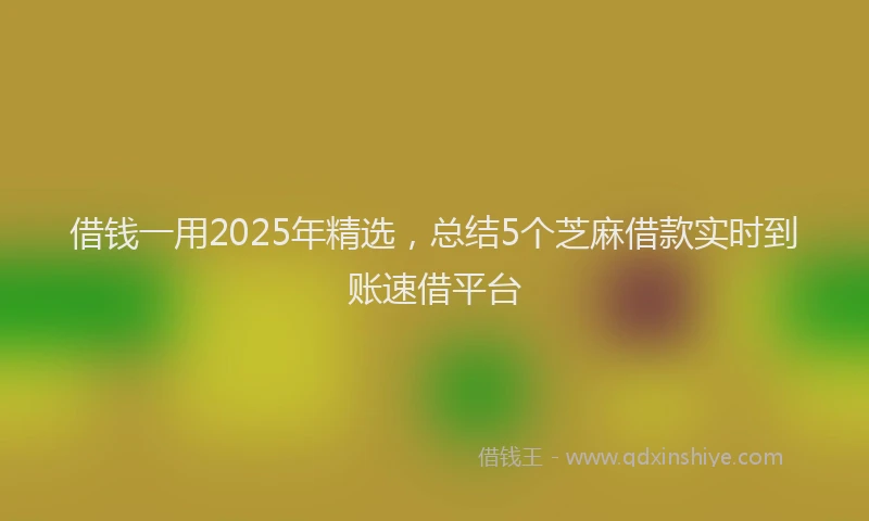 借钱一用2025年精选，总结5个芝麻借款实时到账速借平台