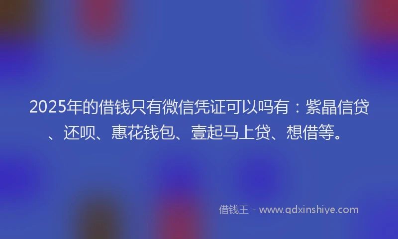 2025年的借钱只有微信凭证可以吗有：紫晶信贷、还呗、惠花钱包、壹起马上贷、想借等。