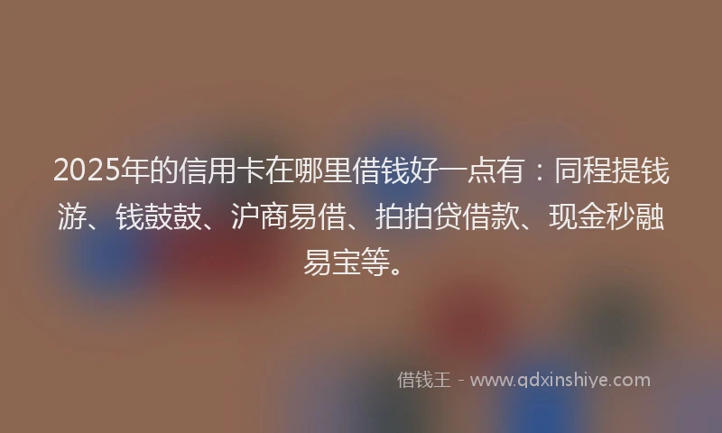 2025年的信用卡在哪里借钱好一点有：同程提钱游、钱鼓鼓、沪商易借、拍拍贷借款、现金秒融易宝等。