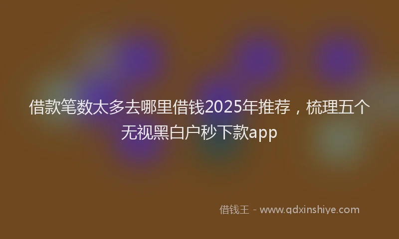 借款笔数太多去哪里借钱2025年推荐，梳理五个无视黑白户秒下款app