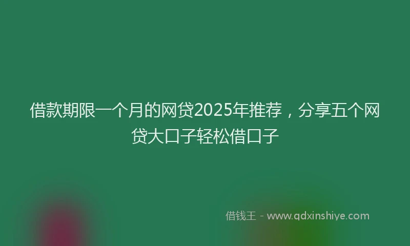 借款期限一个月的网贷2025年推荐，分享五个网贷大口子轻松借口子