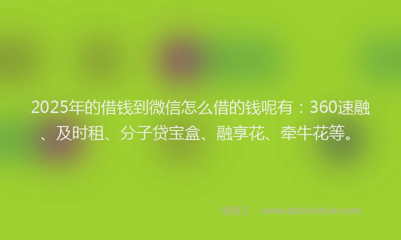 2025年的借钱到微信怎么借的钱呢有：360速融、及时租、分子贷宝盒、融享花、牵牛花等。