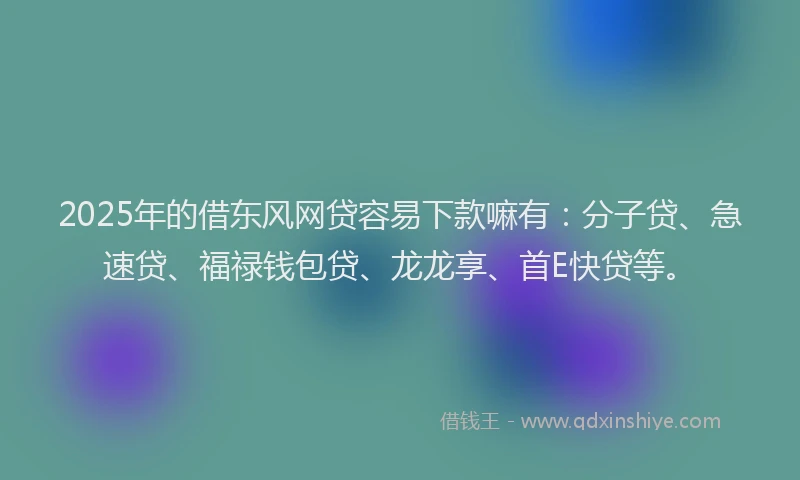 2025年的借东风网贷容易下款嘛有：分子贷、急速贷、福禄钱包贷、龙龙享、首E快贷等。