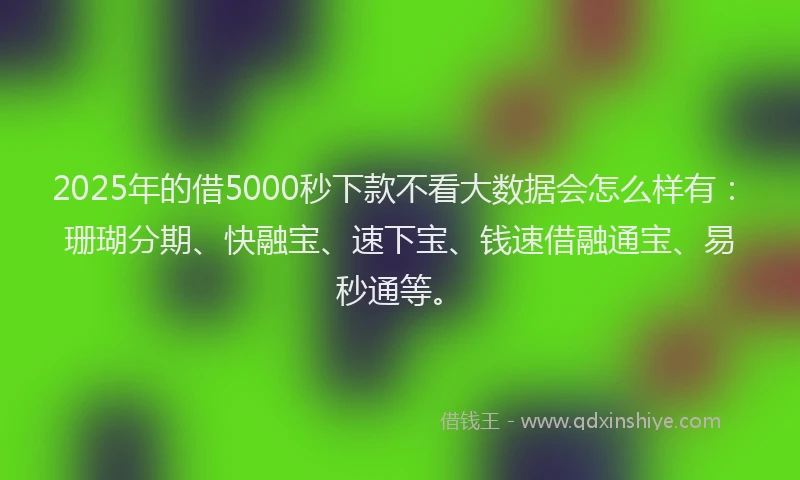 2025年的借5000秒下款不看大数据会怎么样有：珊瑚分期、快融宝、速下宝、钱速借融通宝、易秒通等。