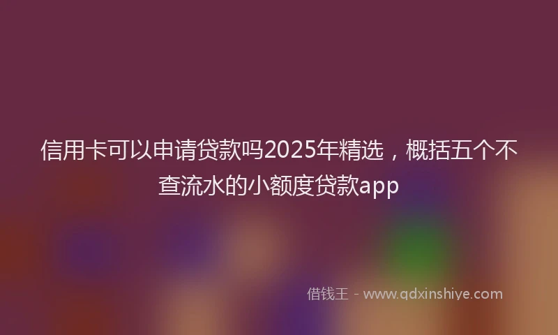 信用卡可以申请贷款吗2025年精选，概括五个不查流水的小额度贷款app