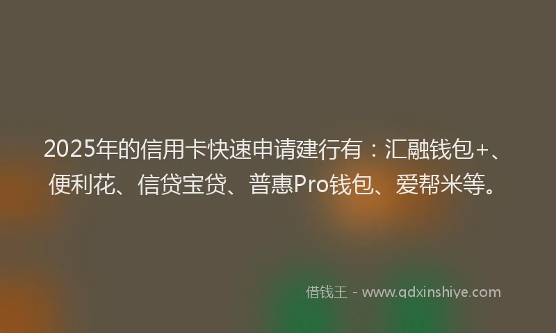 2025年的信用卡快速申请建行有：汇融钱包+、便利花、信贷宝贷、普惠Pro钱包、爱帮米等。