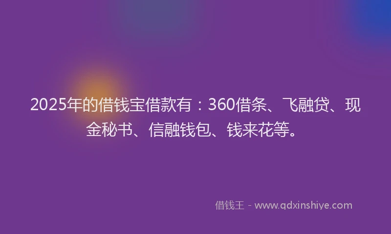2025年的借钱宝借款有：360借条、飞融贷、现金秘书、信融钱包、钱来花等。