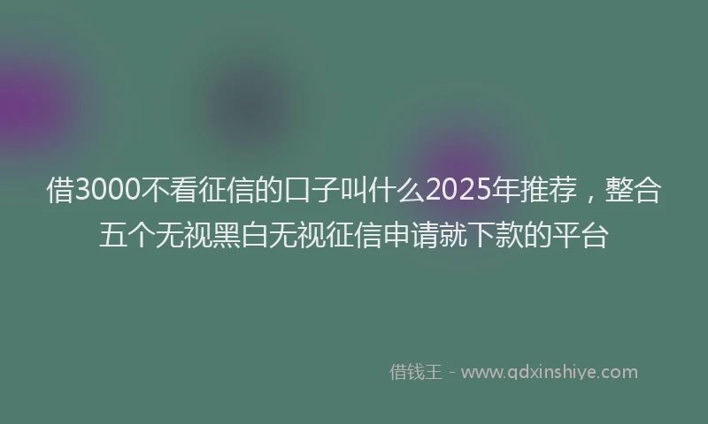 借3000不看征信的口子叫什么2025年推荐，整合五个无视黑白无视征信申请就下款的平台