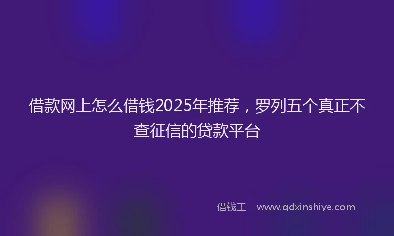 借款网上怎么借钱2025年推荐，罗列五个真正不查征信的贷款平台