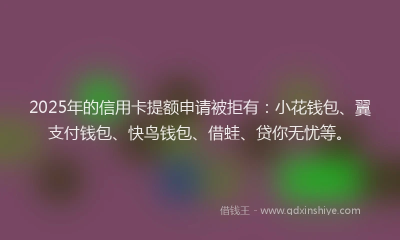 2025年的信用卡提额申请被拒有：小花钱包、翼支付钱包、快鸟钱包、借蛙、贷你无忧等。
