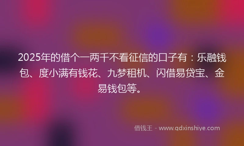 2025年的借个一两千不看征信的口子有：乐融钱包、度小满有钱花、九梦租机、闪借易贷宝、金易钱包等。