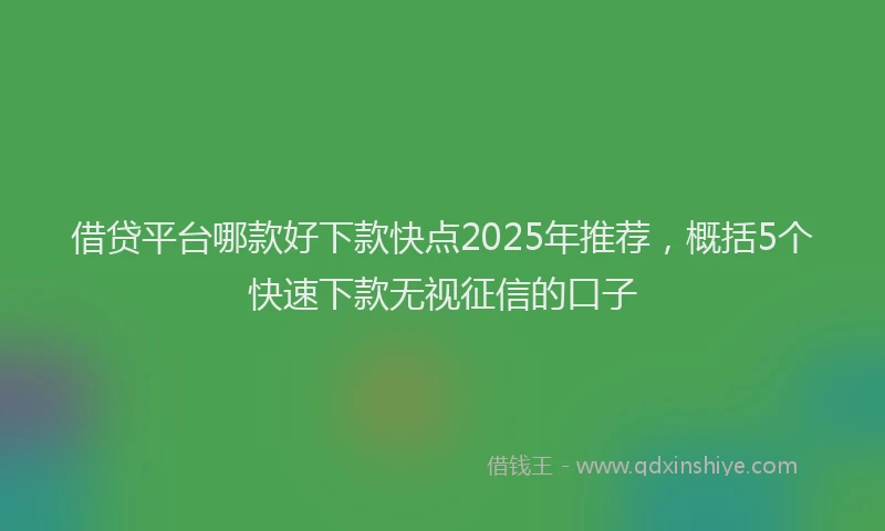 借贷平台哪款好下款快点2025年推荐，概括5个快速下款无视征信的口子