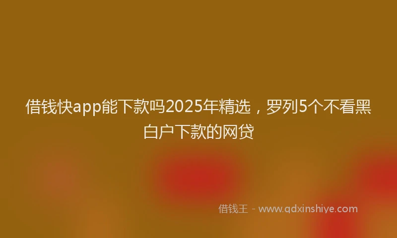 借钱快app能下款吗2025年精选，罗列5个不看黑白户下款的网贷
