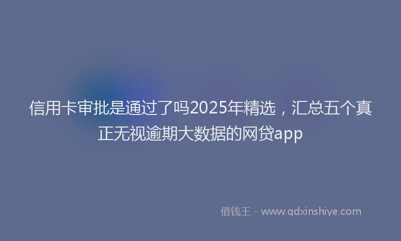 信用卡审批是通过了吗2025年精选，汇总五个真正无视逾期大数据的网贷app