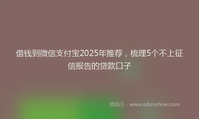 借钱到微信支付宝2025年推荐，梳理5个不上征信报告的贷款口子