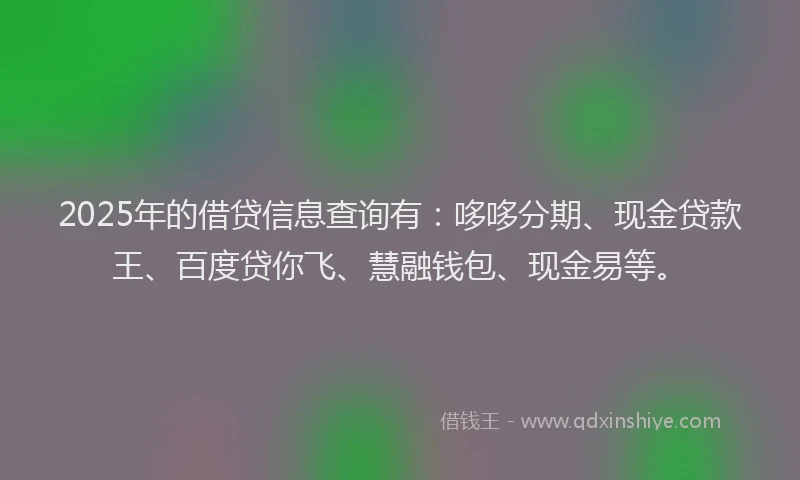 2025年的借贷信息查询有：哆哆分期、现金贷款王、百度贷你飞、慧融钱包、现金易等。