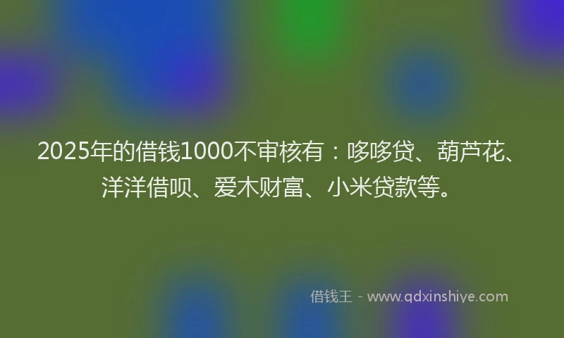 2025年的借钱1000不审核有：哆哆贷、葫芦花、洋洋借呗、爱木财富、小米贷款等。