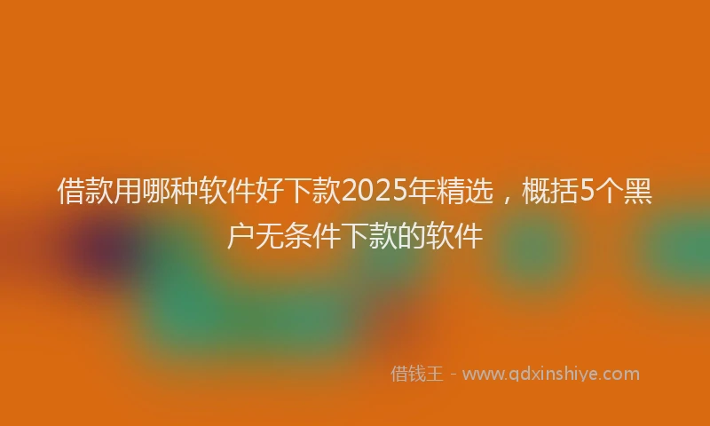 借款用哪种软件好下款2025年精选，概括5个黑户无条件下款的软件