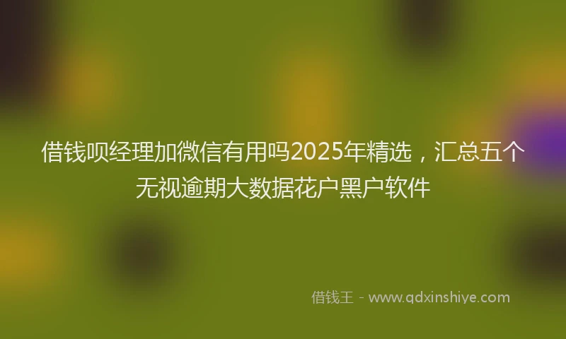 借钱呗经理加微信有用吗2025年精选，汇总五个无视逾期大数据花户黑户软件