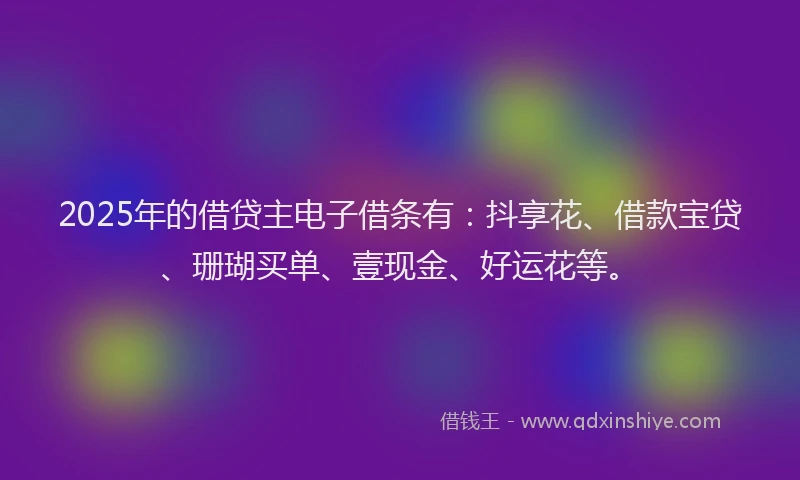 2025年的借贷主电子借条有：抖享花、借款宝贷、珊瑚买单、壹现金、好运花等。