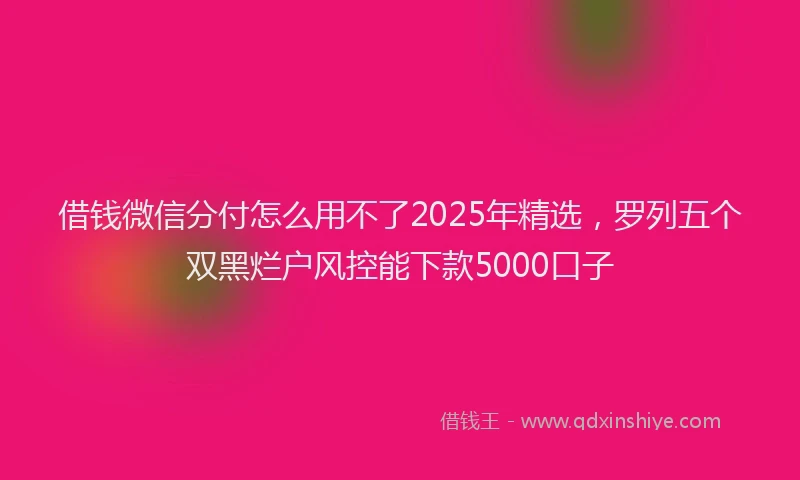 借钱微信分付怎么用不了2025年精选,罗列五个双黑烂户风控能下款5000口子