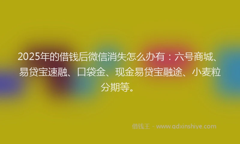 2025年的借钱后微信消失怎么办有：六号商城、易贷宝速融、口袋金、现金易贷宝融途、小麦粒分期等。