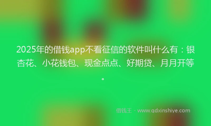 2025年的借钱app不看征信的软件叫什么有：银杏花、小花钱包、现金点点、好期贷、月月开等。