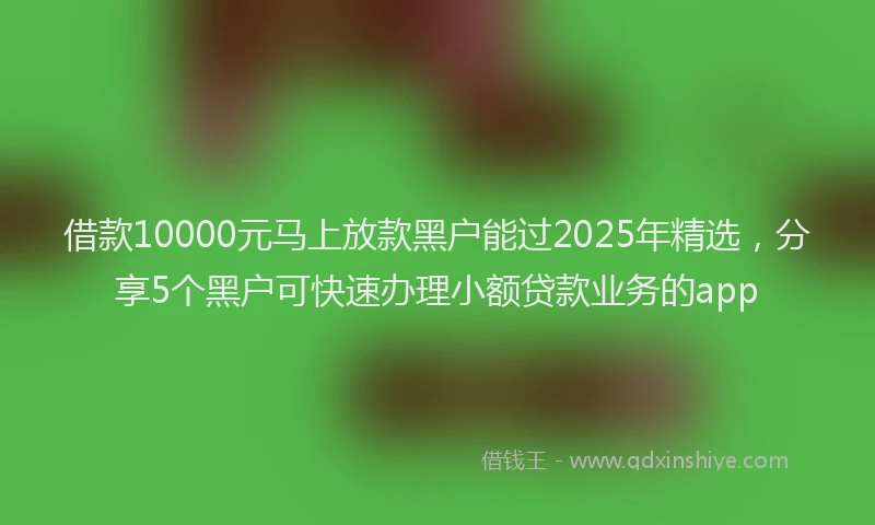 借款10000元马上放款黑户能过2025年精选，分享5个黑户可快速办理小额贷款业务的app