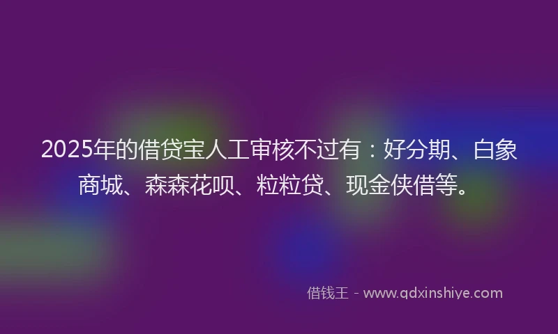 2025年的借贷宝人工审核不过有:好分期、白象商城、森森花呗、粒粒贷、现金侠借等。