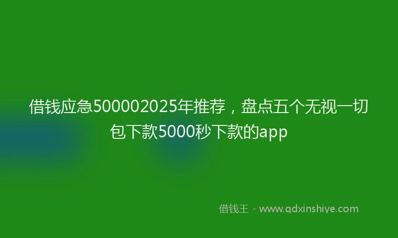 借钱应急500002025年推荐，盘点五个无视一切包下款5000秒下款的app