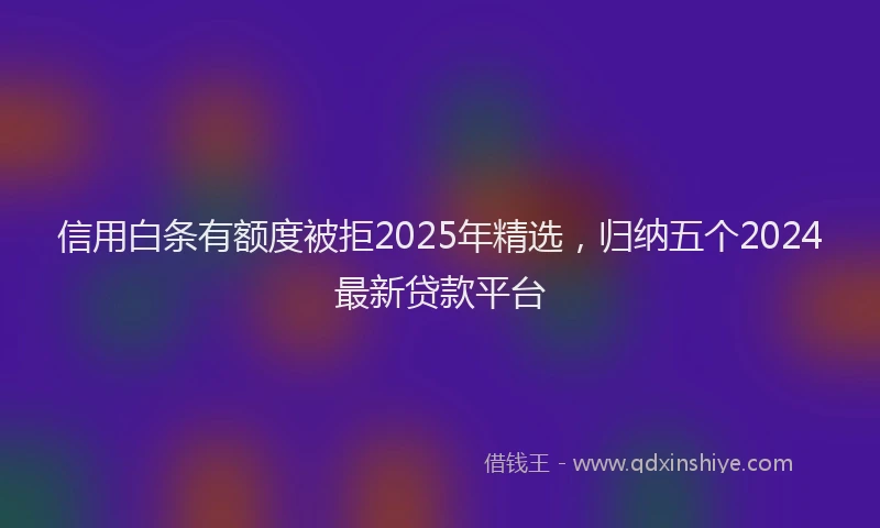 信用白条有额度被拒2025年精选，归纳五个2024最新贷款平台