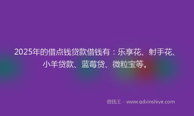 2025年的借点钱贷款借钱有：乐享花、射手花、小羊贷款、蓝莓贷、微粒宝等。