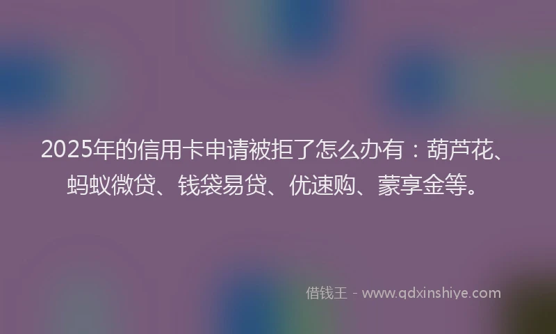 2025年的信用卡申请被拒了怎么办有：葫芦花、蚂蚁微贷、钱袋易贷、优速购、蒙享金等。