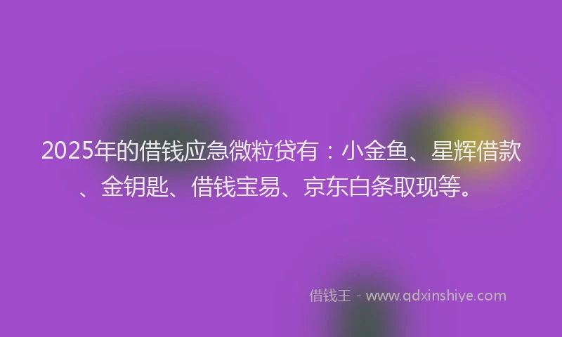 2025年的借钱应急微粒贷有：小金鱼、星辉借款、金钥匙、借钱宝易、京东白条取现等。
