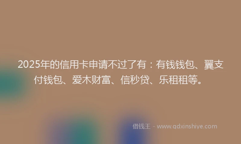 2025年的信用卡申请不过了有：有钱钱包、翼支付钱包、爱木财富、信秒贷、乐租租等。