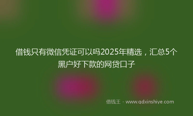 借钱只有微信凭证可以吗2025年精选，汇总5个黑户好下款的网贷口子