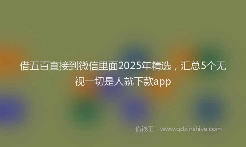 借五百直接到微信里面2025年精选，汇总5个无视一切是人就下款app