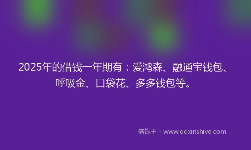 2025年的借钱一年期有：爱鸿森、融通宝钱包、呼吸金、口袋花、多多钱包等。