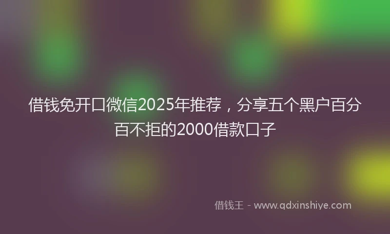 借钱免开口微信2025年推荐，分享五个黑户百分百不拒的2000借款口子