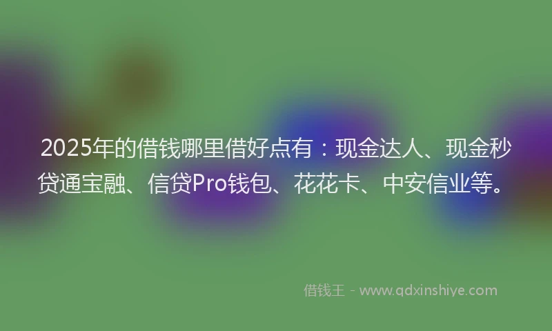 2025年的借钱哪里借好点有：现金达人、现金秒贷通宝融、信贷Pro钱包、花花卡、中安信业等。