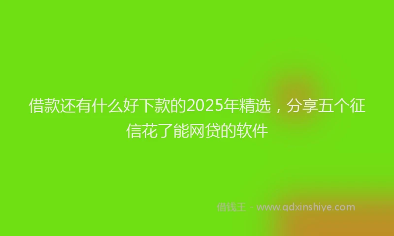 借款还有什么好下款的2025年精选，分享五个征信花了能网贷的软件