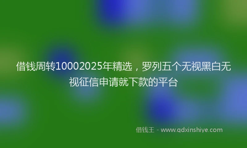 借钱周转10002025年精选，罗列五个无视黑白无视征信申请就下款的平台